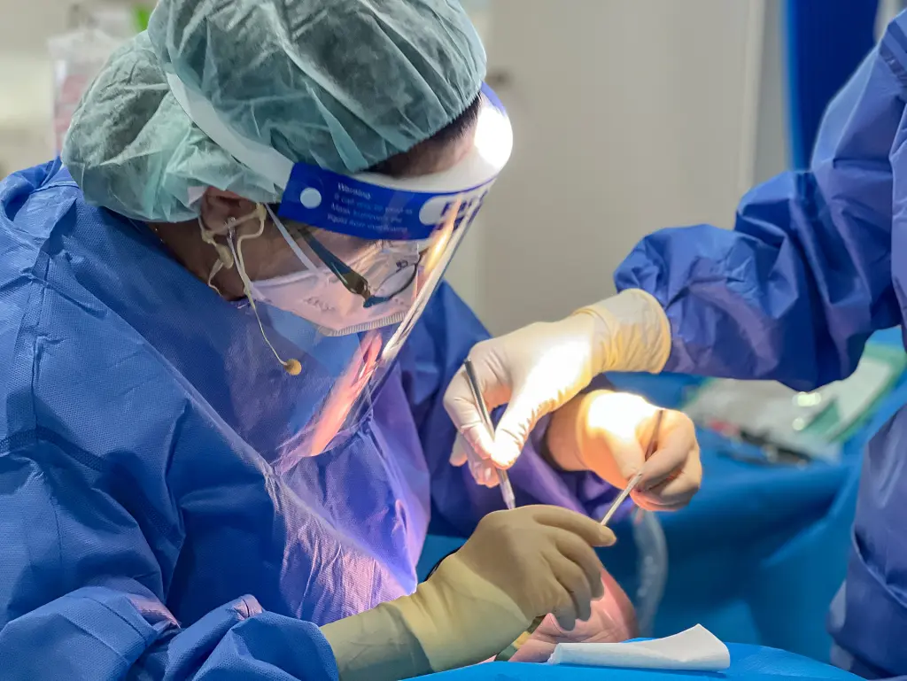 Mastering Soft Tissue Augmentation