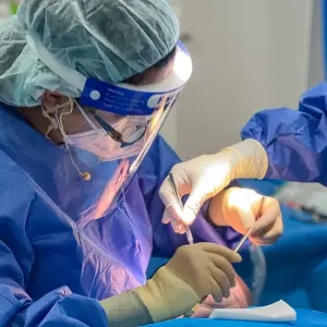 Mastering Soft Tissue Augmentation