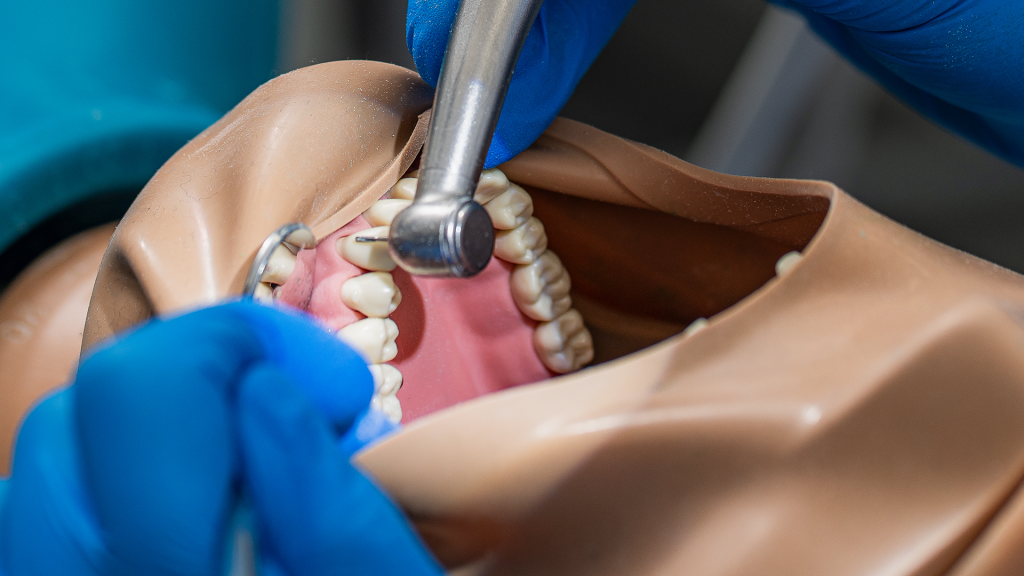 MSc in Clinical Prosthodontics (Full Time)